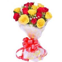 Roses of Love And Care